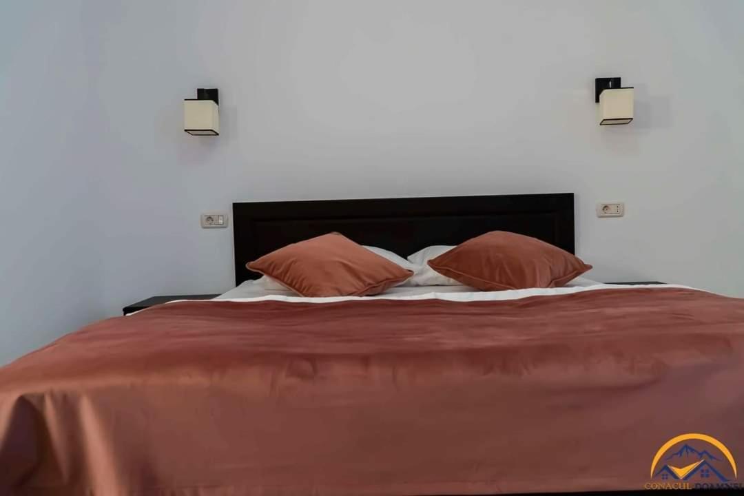 Conacul Doamnei Villa Corbi ภายนอก รูปภาพ