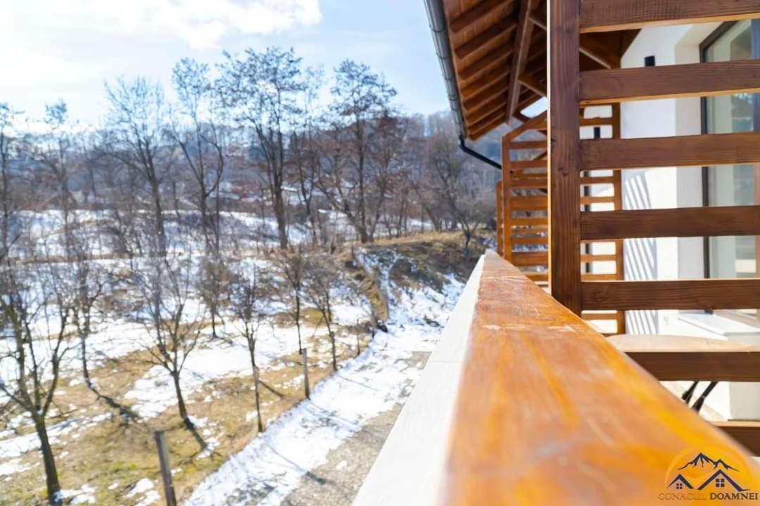 Conacul Doamnei Villa Corbi ภายนอก รูปภาพ