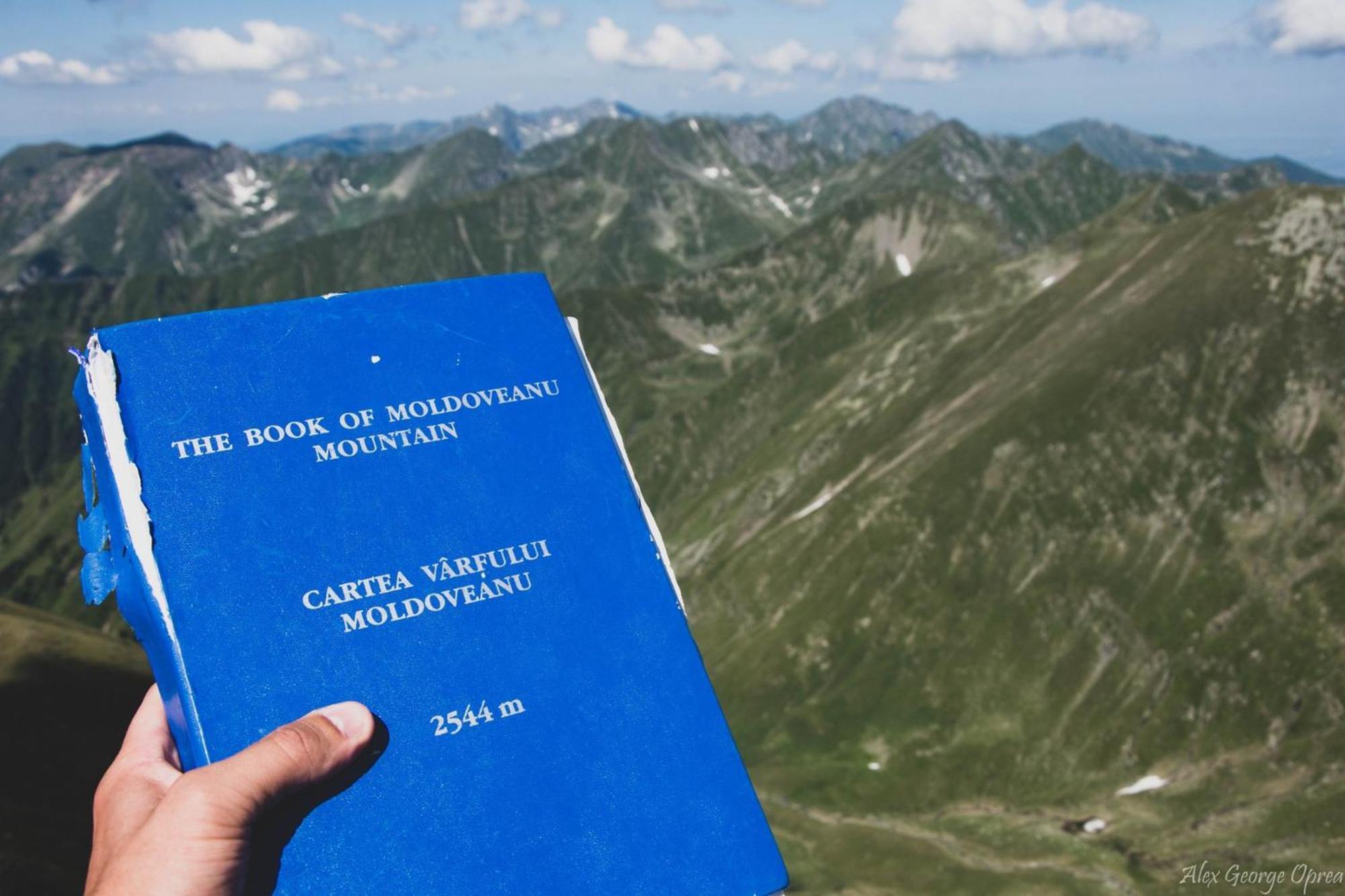 Conacul Doamnei Villa Corbi ภายนอก รูปภาพ